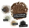 Lechuza Minerální substrát pro kaktusy CACTUSPON, 6 l Náhled obrázku produktu 8