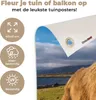 MuchoWow® Produktbild-Vorschau 3