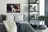 MuchoWow® Poster Ein Berner Sennenhund liegt auf dem Sofa Produktbild-Vorschau 4