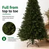 Choinka Black Box Trees Toronto – świąteczna dekoracja z Podgląd zdjęcia produktu 5
