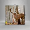 Bild auf Leinwand - Leinwandbild - Kitz Hirsch Tier wild - Produktbild-Vorschau 3