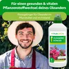Purgrün Oleander Dünger | Flüssigdünger mit extra Phosphor Produktbild-Vorschau 2