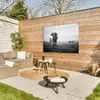 Gartenposter - 120x80 cm - Kühe am Morgen Nebel Produktbild-Vorschau 5