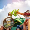 Bierkasse mit Hopfen und Bierkrug Spardose Produktbild-Vorschau 6