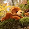 Plüsch-Braunbär 22 cm, umweltfreundlich Produktbild-Vorschau 6