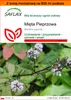 SAFLAX - Garden in the bag - Mięta Pieprzowa - 300 Nasiona Podgląd zdjęcia produktu 1