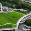 Sedum- & Gründach-Dünger - 20 kg für 400 m2 - Organifer Produktbild-Vorschau 10