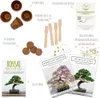 Kit di avviamento per bonsai con eBook  - Set di vasi di Anteprima dell’immagine prodotto 2