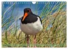 Amrum Glücksort (Wandkalender 2027 DIN A4 quer), CALVENDO Produktbild-Vorschau 11