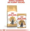 Royal Canin British Shorthair, Dorosły, Brytyjski Podgląd zdjęcia produktu 5