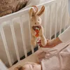 Zajačik Karo s hracou skrinkou / Babyono Náhľad obrázku produktu 4