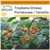 SAFLAX - Garden in the bag - Tamarillo - 50 Nasiona - Z Podgląd zdjęcia produktu 10