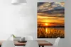 MuchoWow® Poster Sonnenuntergang - Meer - Horizont - Himmel Produktbild-Vorschau 2