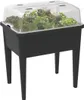 A raised garden bed with a clear lid filled with various green plants. Náhled obrázku produktu