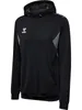 hmlAUTHENTIC PL HOODIE KIDS Produktbild-Vorschau 2