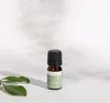 Teebaumöl, ätherisches Öl, 100% Rein, BIO, natürlich, 10 ml Produktbild-Vorschau 8