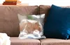 MuchoWow® Zierkissen Sofakissen Wohnzimmer Dekokissen 40x40 Produktbild-Vorschau 2
