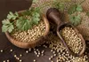 KOLENDRA ZIARNO 100g Nasiona kolendry naturalna przyprawa Podgląd zdjęcia produktu 2