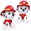 GND PAW Plüsch 15 cm Marshall Produktbild-Vorschau 4