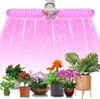 A grow light illuminates a collection of potted plants. Produktbild-Vorschau