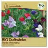 Samenliebe  Duftwicke Samen | Bunte Mischung - stark Produktbild-Vorschau 1