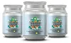 Air Wick Große Duftkerze im Glas Teakholz & Meersalz 480g Produktbild-Vorschau 2