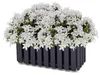 Boardee Fencycase 400 Balkonkasten | Anthrazit Produktbild-Vorschau 10