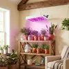 A collection of potted plants on wooden shelves, illuminated by a grow light, with a humidifier in the background. Náhľad obrázku produktu