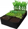 A raised garden bed with various plants growing in it. Náhled obrázku produktu