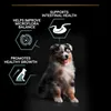 Purina Pro Plan Welpen empfindlicher Verdauungsmedium Opti Produktbild-Vorschau 3
