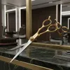 Ciseaux de coiffure 5.5 Voir les images du produit 6