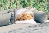 MuchoWow® Outdoor Kissen - Tiere - Hund - Kätzchen - Rot - Produktbild-Vorschau 2