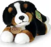 Peluche Bovaro del Bernese 24 Cm Ecologico Anteprima dell’immagine prodotto 3