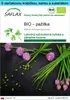 SAFLAX Darčeková sada - BIO – pažítka - Allium Náhľad obrázku produktu 1