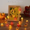 3 Stück Herbst Deko Lichterkette mit Timer, 2m 20 LED, Produktbild-Vorschau 5