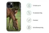 MuchoWow® Handyhülle Schutzhülle Hülle für iPhone 13 Pferde Produktbild-Vorschau 7