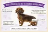 vianmo Holzschild 12x18 cm Tiere Dackel willkommen wohne Produktbild-Vorschau 1