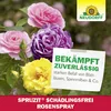 Neudorff Spruzit AF Schädlingsfrei RosenSpray 750 ml Produktbild-Vorschau 6