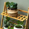 A wooden plant stand with three shelves, holding various potted plants including a cactus and a Pilea plant. Produktbild-Vorschau