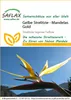 Artikelbild 1 von 'Gelbe Strelitzie Mandelas Gold' aus der Kategorie Blumensamen Produktbild-Vorschau