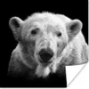 MuchoWow® Poster Eisbär - Tier - Schwarz - Weiß 75x75 cm - Produktbild-Vorschau 1