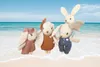 Speedy Monkey Kaninchenfamilie Spielset - 4 Figuren - Produktbild-Vorschau 4
