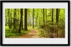 Bild 60x40 MDF-Rahmen Wandkunst Waldpfad Natur Produktbild-Vorschau 1