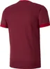 Puma teamGOAL 23 Jersey Kinder Produktbild-Vorschau 2