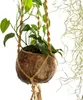 BioCoco Pot Vaso in cocco per orchidee epifite Anteprima dell’immagine prodotto 4