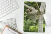 MuchoWow® Mauspad Mousepad Ein Faultier hängt an einem Ast Produktbild-Vorschau 5