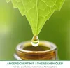 Air Wick Freshmatic Max Starter-Set Sommervergnügen 250ml + Produktbild-Vorschau 9