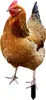 Rooster Decor Realistische lebensechte dekorative Produktbild-Vorschau 1
