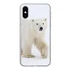 MuchoWow® Handyhülle Schutzhülle Hülle für iPhone X Eisbär Produktbild-Vorschau 1