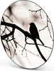 Design Stahlmagnettafel Schwarz Rund 47cm Früher Vogel Produktbild-Vorschau 5